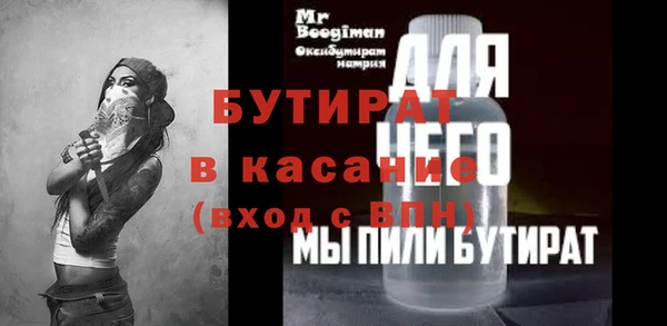 гидра Нестеровская