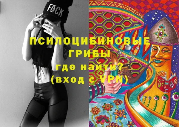 спайс Корсаков