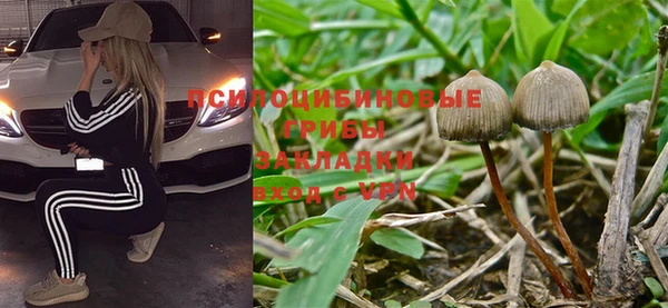 гашиш Коряжма