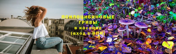 спайс Корсаков