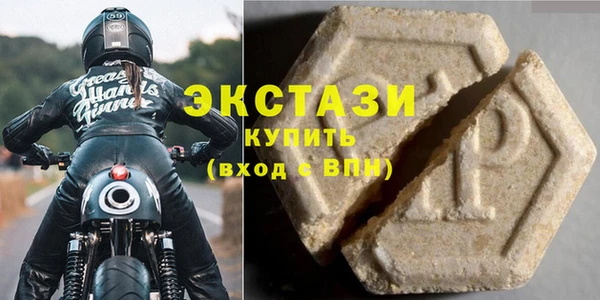 гидра Нестеровская