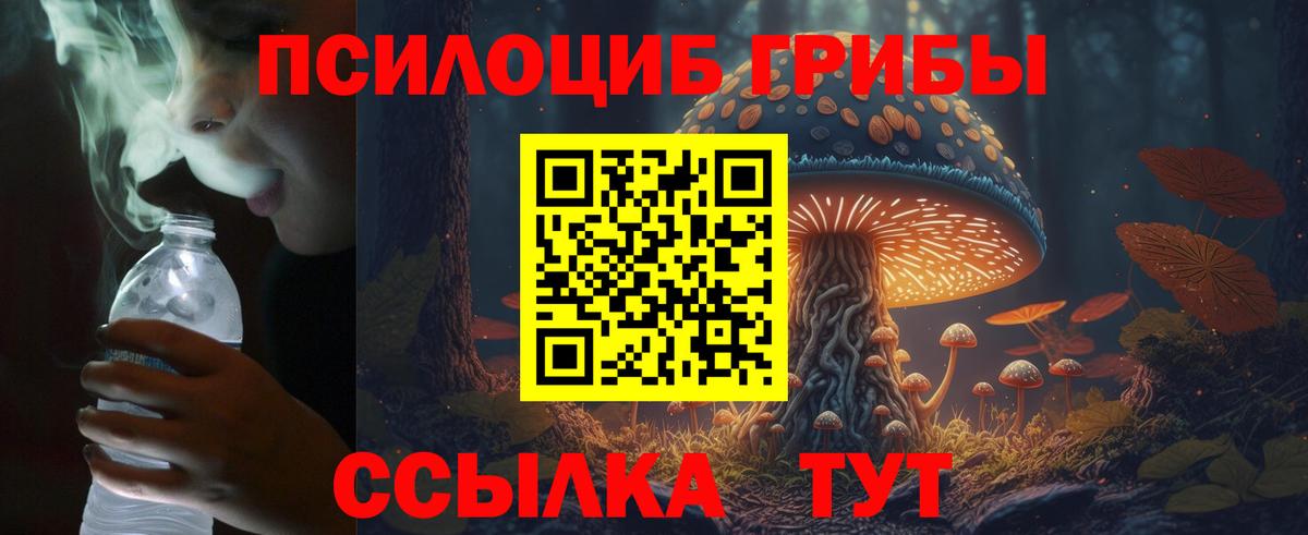 Псилоцибиновые грибы Psilocybine cubensis  Вход с VPN  Белая Калитва 
