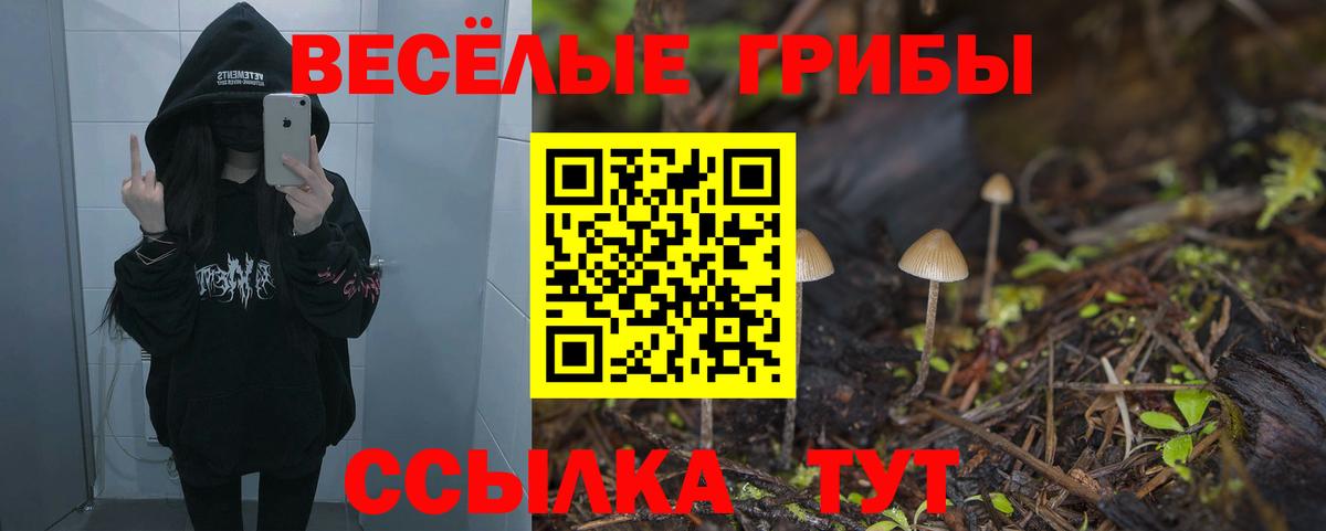 Галлюциногенные грибы Psilocybe  купить наркотик  Белая Калитва 