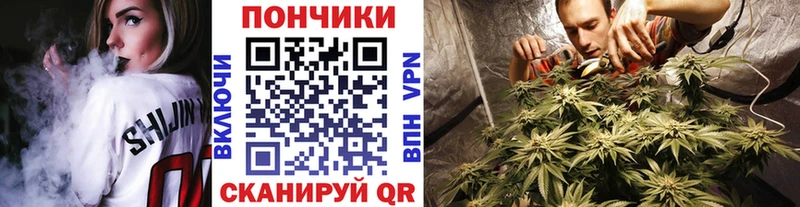 Бошки марихуана гибрид Белая Калитва